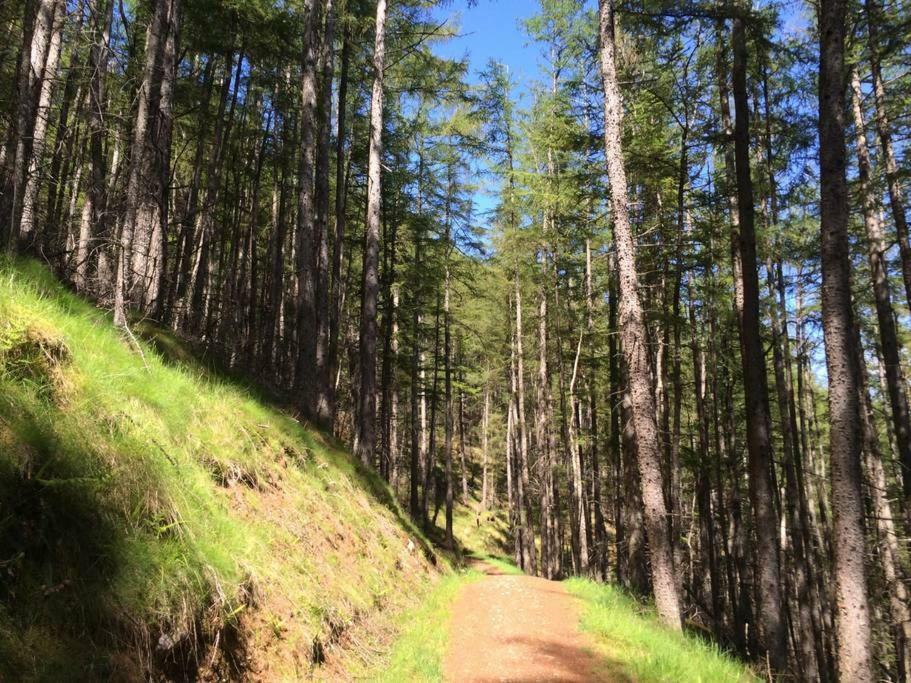 威廉堡Highland Self Catering Retreat With Stunning Views公寓 外观 照片